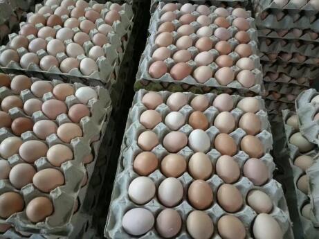 �����ݘI(y��)�����u����